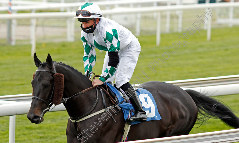 Ventura-Rebel-0001 
 VENTURA REBEL (Paul Hanagan)
York 12 May 2021 - Pic Steven Cargill / Racingfotos.com