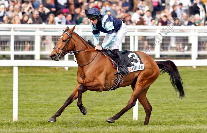 Indefatigable-0005 
 INDEFATIGABLE (Gavin Sheehan) wins The Glide Mares Novices Hurdle
Cheltenham 18 Apr 2019 - Pic Steven Cargill / Racingfotos.com