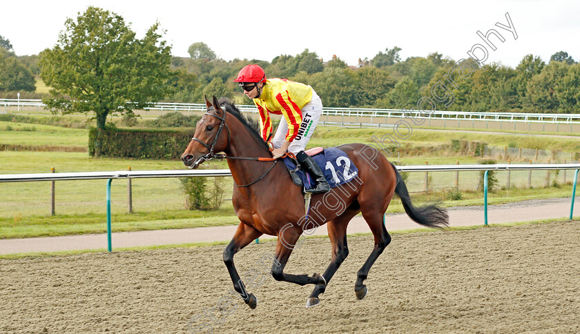 Rovaniemi-0001 
 ROVANIEMI (Jamie Spencer) winner of The Read Silvestre De Sousa's Exclusive Blog starsportsbet.co.uk EBF Novice Stakes
Lingfield 3 Oct 2019 - Pic Steven Cargill / Racingfotos.com