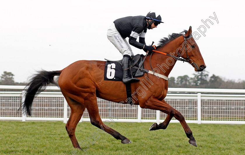 Timeforadance-0001 
 TIMEFORADANCE (Tom O'Brien)
Ascot 20 Feb 2021 - Pic Steven Cargill / Racingfotos.com