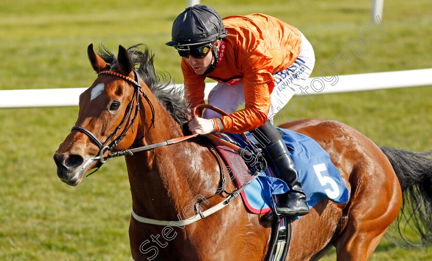 Kingmania-0007 
 KINGMANIA (Pat Cosgrave) wins The leicester-racecourse.co.uk Handicap
Leicester 24 Apr 2021 - Pic Steven Cargill / Racingfotos.com