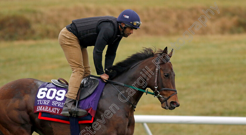 Emaraaty-Ana-0002 
 EMARAATY ANA training for the Breeders' Cup Turf Sprint
Keeneland USA 1 Nov 2022 - Pic Steven Cargill / Racingfotos.com