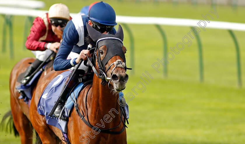 Commissioning-0004 
 COMMISSIONING (Robert Havlin) wins The Al Basti Equiworld Dubai Rockfel Stakes
Newmarket 23 Sep 2022 - Pic Steven Cargill / Racingfotos.com