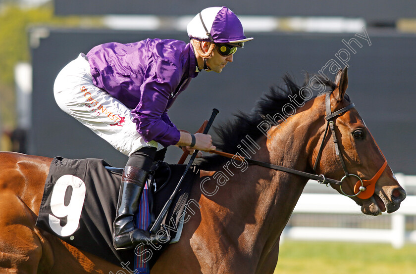 Magical-Sunset-0002 
 MAGICAL SUNSET (Kevin Stott)
Ascot 3 May 2023 - Pic Steven Cargill / Racingfotos.com