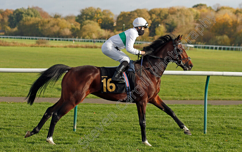 Stiletto-0002 
 STILETTO (Nicky Mackay)
Nottingham 4 Nov 2020 - Pic Steven Cargill / Racingfotos.com