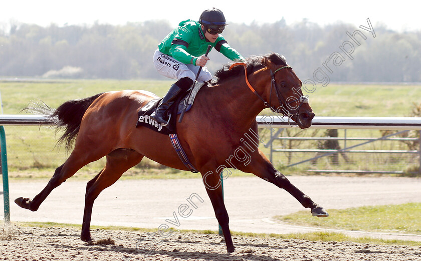 Kachy-0004 
 KACHY (Richard Kingscote) wins The Betway All-Weather Sprint Championships Stakes
Lingfield 19 Apr 2019 - Pic Steven Cargill / Racingfotos.com