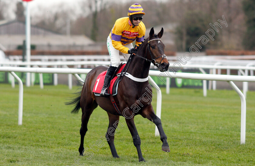 Chaparral-Prince-0001 
 CHAPARRAL PRINCE (Nico De Boinville)
Kempton 12 Jan 2019 - Pic Steven Cargill / Racingfotos.com