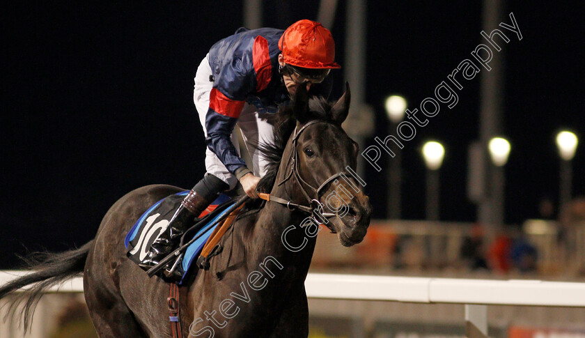 Roca-Magica-0003 
 ROCA MAGICA (Robert Havlin) wins The New tote Classified Stakes
Chelmsford 13 Feb 2020 - Pic Steven Cargill / Racingfotos.com