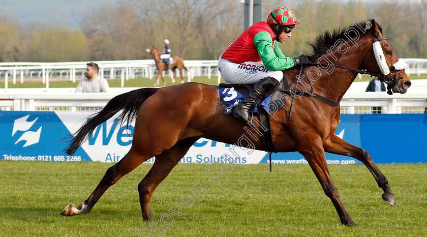 Cobra-De-Mai-0007 
 COBRA DE MAI (Harry Skelton) wins The Weatherite Handicap Chase
Cheltenham 17 Apr 2019 - Pic Steven Cargill / Racingfotos.com