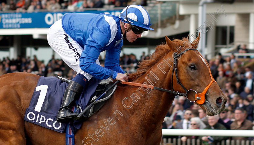 Moyassar-0003 
 MOYASSAR (Jim Crowley) wins The Havana Gold Handicap
Newmarket 4 May 2019 - Pic Steven Cargill / Racingfotos.com