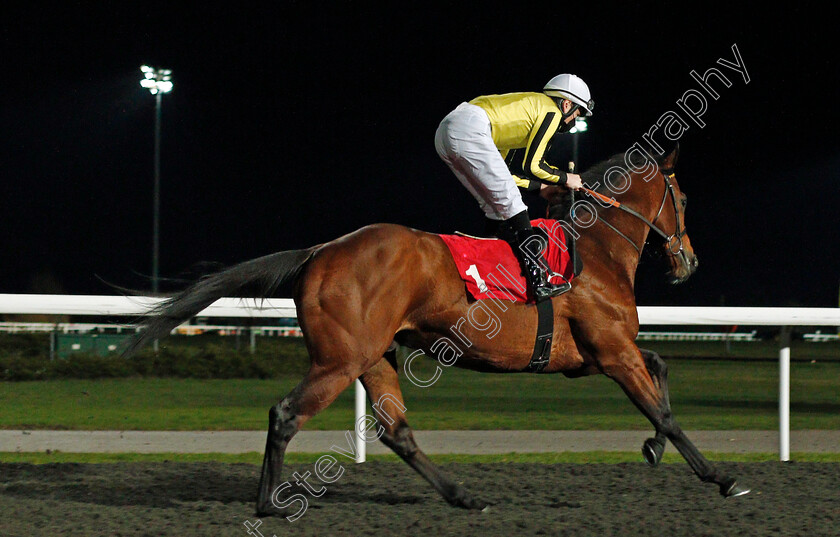 Lydford-0002 
 LYDFORD (Callum Shepherd)
Kempton 24 Feb 2021 - Pic Steven Cargill / Racingfotos.com