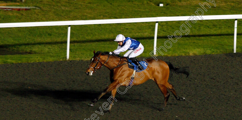 Humbert-0003 
 HUMBERT (Josephine Gordon) wins The Smarter Bets With Matchbook Maiden Stakes Kempton 13 Dec 2017 - Pic Steven Cargill / Racingfotos.com