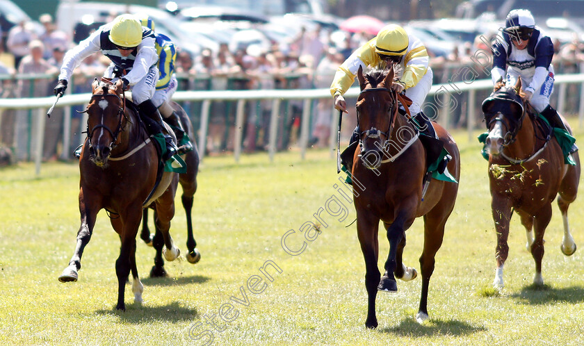 Suitcase- n -Taxi-0002 
 SUITCASE 'N' TAXI (right, David Allan) beats CANFORD BAY (left) in The John Hopkinson Memorial Handicap
Thirsk 4 Jul 2018 - Pic Steven Cargill / Racingfotos.com