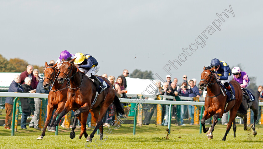 Beauty-Filly-0002 
 BEAUTY FILLY (Ryan Moore) beats FLYING SPARKLE (far left) and LEFT ALONE (right) in The Ken Lindsay Memorial EBF Fillies Novice Stakes Yarmouth 21 Sep 2017 - pic Steven Cargill / Racingfotos.com