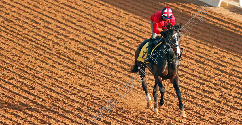 Pyledriver-0004 
 PYLEDRIVER training for The Neom Turf Cup
King Abdulaziz Racetrack, Riyadh, Saudi Arabia 23 Feb 2022 - Pic Steven Cargill / Racingfotos.com