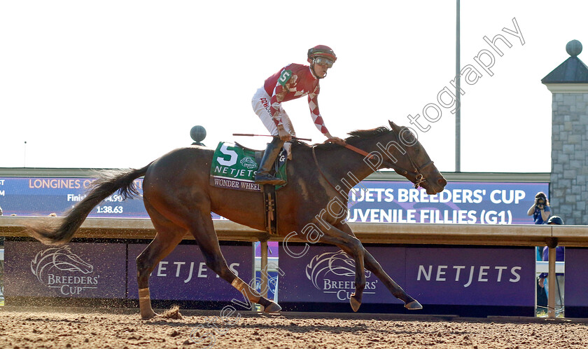 Wonder-Wheel-0002 
 WONDER WHEEL (Tyler Gaffalione) wins The Breeders' Cup Juvenile Fillies
Breeders Cup Meeting, Keeneland USA, 4 Nov 2022 - Pic Steven Cargill / Racingfotos.com