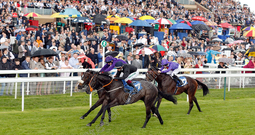 Magical-Max-0002 
 MAGICAL MAX (Andrew Mullen) wins The Reg Griffin Appreciation EBFstallions.com Maiden Stakes
York 15 Jun 2019 - Pic Steven Cargill / Racingfotos.com