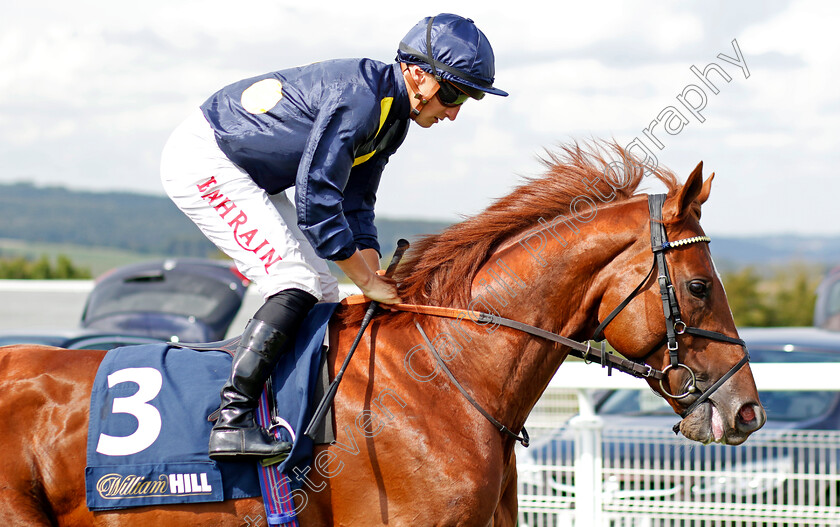 Al-Mubhir-0001 
 AL MUBHIR (Tom Marquand)
Goodwood 27 Aug 2022 - Pic Steven Cargill / Racingfotos.com