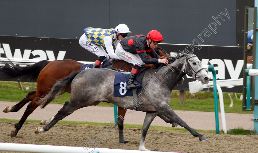 Gold-Filigree-0006 
 GOLD FILIGREE (Shane Kelly) wins The Betway Casino Handicap
Lingfield 23 Mar 2019 - Pic Steven Cargill / Racingfotos.com