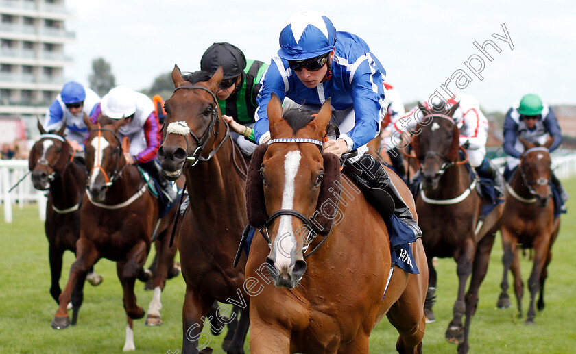 Withhold-0006 
 WITHHOLD (Jason Watson) wins The Marsh Cup
Newbury 20 Jul 2019 - Pic Steven Cargill / Racingfotos.com