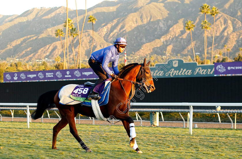 Master-Of-The-Seas-0001 
 MASTER OF THE SEAS training for the Breeders' Cup Mile
Santa Anita USA, 1 Nov 2023 - Pic Steven Cargill / Racingfotos.com