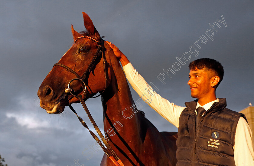 Plus-Point-0016 
 PLUS POINT winner of The Venture Security Handicap
Newbury 27 Jul 2023 - Pic Steven Cargill / Racingfotos.com