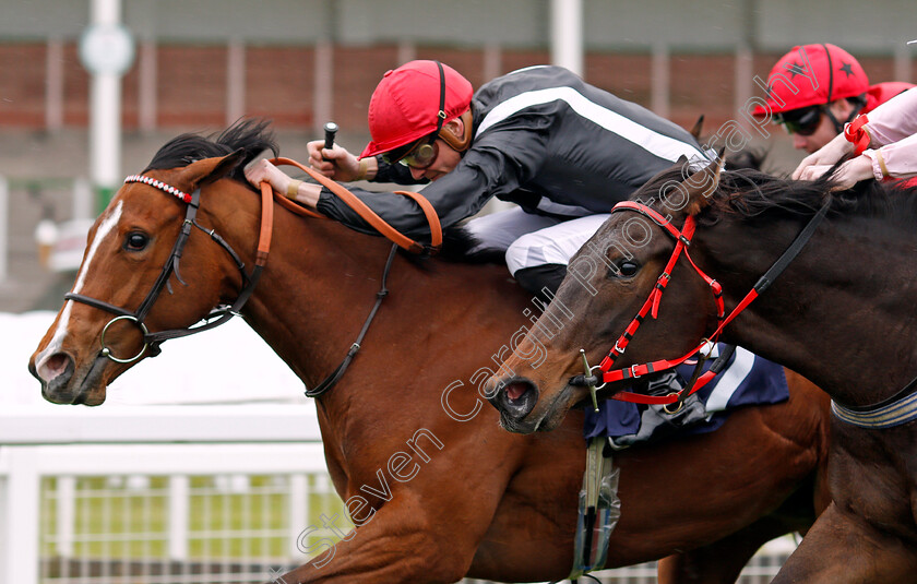 Carrie s-Vision-0006 
 CARRIE'S VISION (James Doyle) wins The Haven Seashore Holiday Park Maiden Fillies Stakes Yarmouth 24 Apr 2018 - Pic Steven Cargill / Racingfotos.com