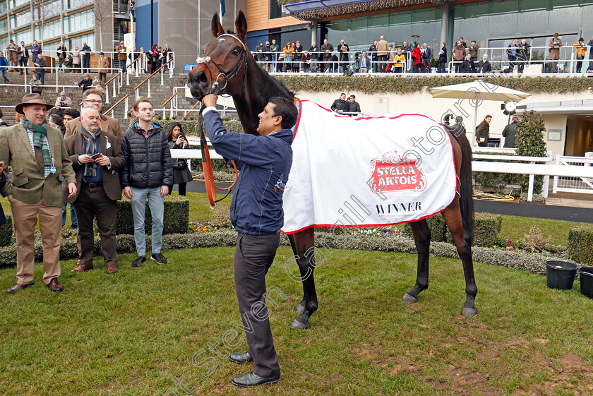 Divine-Spear-0012 
 DIVINE SPEAR after The Stella Artois Novices Limited Handicap Chase Ascot 22 Dec 2017 - Pic Steven Cargill / Racingfotos.com