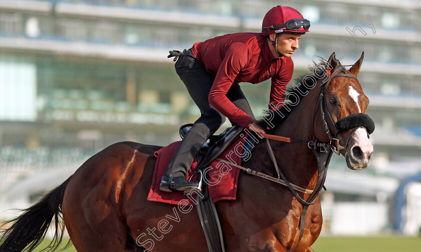 Laurel-River-0007 
 LAUREL RIVER training for the Dubai Racing Carnival 
Meydan 23 Jan 2025 - Pic Steven Cargill / Racingfotos.com