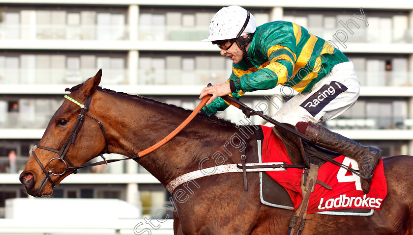 Champ-0004 
 CHAMP (Aidan Coleman) wins The Ladbrokes Handicap Hurdle
Newbury 1 Dec 2018 - Pic Steven Cargill / Racingfotos.com