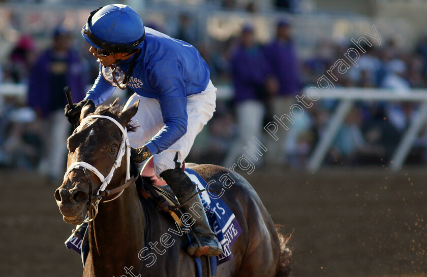 Immersive-0005 
 IMMERSIVE (Manuel Franco) Breeders' Cup Juvenile Fillies
Del Mar USA 1 Nov 2024 - Pic Steven Cargill / Racingfotos.com