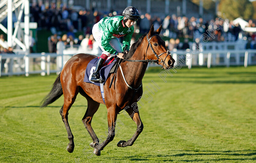 Stubble-Field-0001 
 STUBBLE FIELD (Cieren Fallon)
Yarmouth 18 Oct 2022 - Pic Steven Cargill / Racingfotos.com