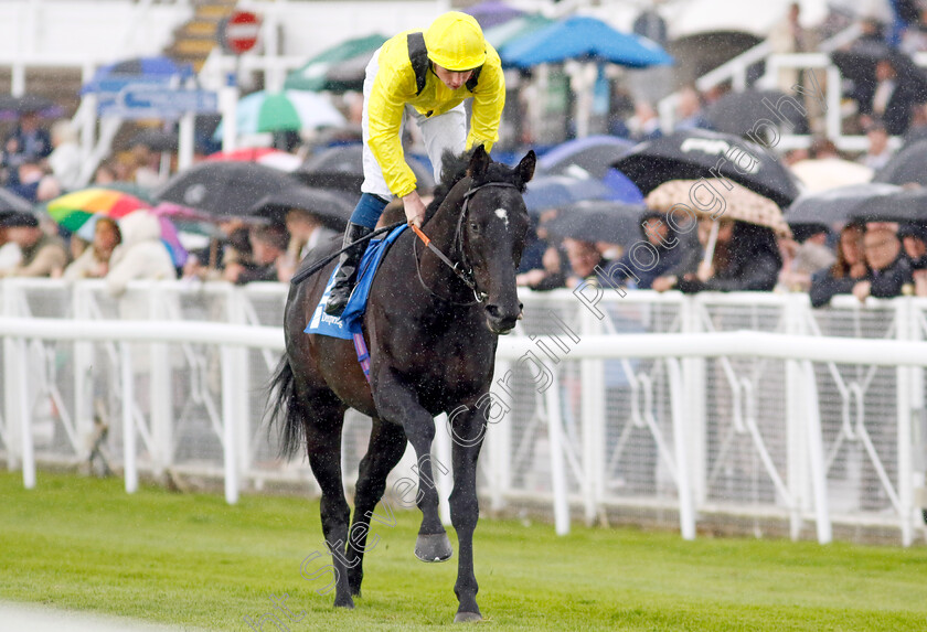 El-Jasor-0001 
 EL JASOR (Callum Shepherd)
Chester 10 May 2023 - pic Steven Cargill / Racingfotos.com