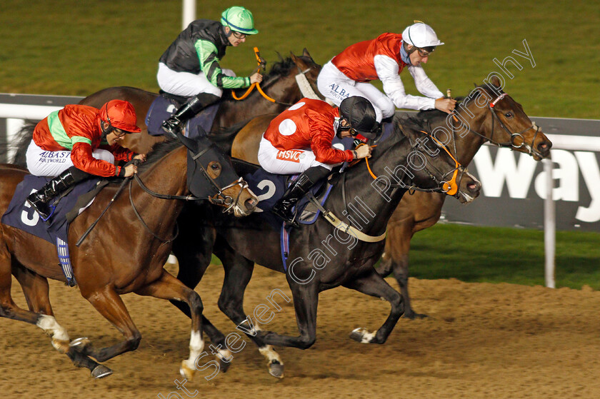 Tilaawah-0004 
 TILAAWAH (centre, Tyler Heard) beats HIGHEST AMBITION (left) and NIGHT NARCISSUS (right) in The Get Your Ladbrokes Daily Odds Boost Nursery
Wolverhampton 24 Nov 2020 - Pic Steven Cargill / Racingfotos.com