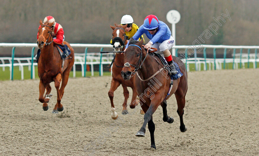 Makram-0004 
 MAKRAM (Andrea Atzeni) wins The Bombardier British Hopped Amber Beer Novice Stakes
Lingfield 14 Feb 2020 - Pic Steven Cargill / Racingfotos.com