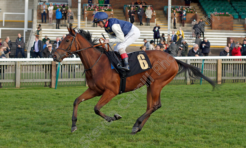 Consensus-De-Vega 
 CONSENSUS DE VEGA (Andrea Atzeni)
Newmarket 30 Oct 2021 - Pic Steven Cargill / Racingfotos.com