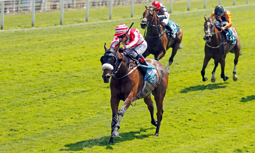 Menelaus-0002 
 MENELAUS (Connor Planas) wins The Andy Thornton Hospitality Furniture Handicap
York 16 Jun 2023 - Pic Steven Cargill / Racingfotos.com