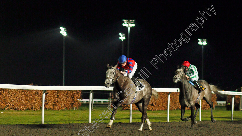 Arctic-Vega-0004 
 ARCTIC VEGA (Rob Hornby) wins The 32Red On The App Store Maiden Stakes Div1
Kempton 19 Feb 2020 - Pic Steven Cargill / Racingfotos.com