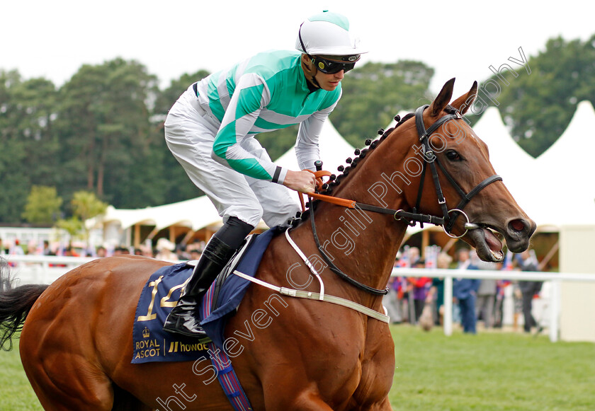 Lakota-Sioux 
 LAKOTA SIOUX (James Doyle)
Royal Ascot 18 Jun 2022 - Pic Steven Cargill / Racingfotos.com