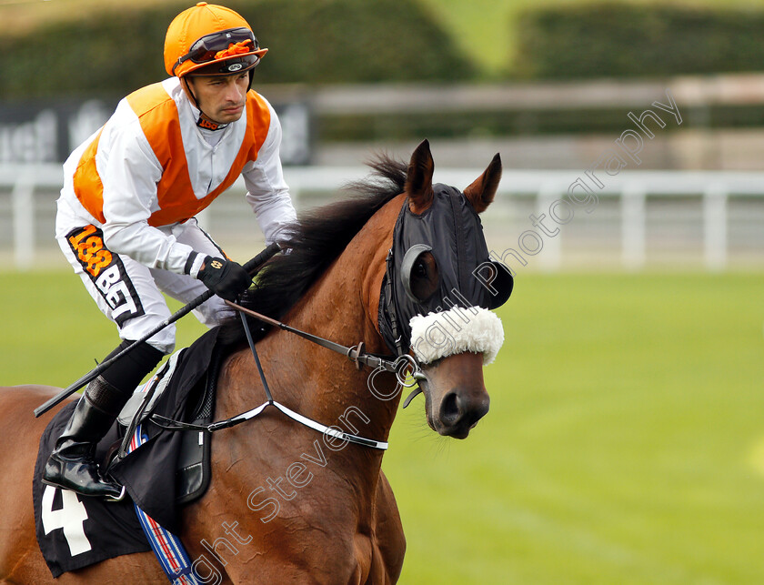 Zoffany-Bay-0001 
 ZOFFANY BAY (Silvestre De Sousa)
Goodwood 4 Sep 2018 - Pic Steven Cargill / Racingfotos.com