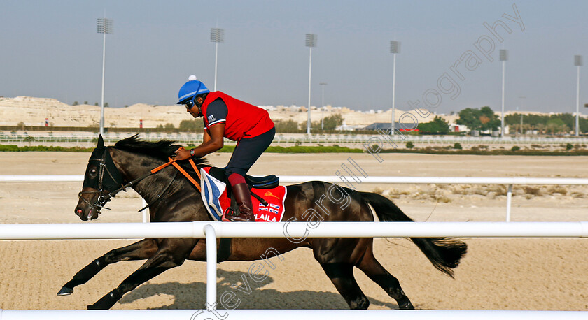 Alflaila-0002 
 ALFLAILA training for the Bahrain International Trophy
Kingdom of Bahrain 14 Nov 2024 - Pic Steven Cargill / Racingfotos.com