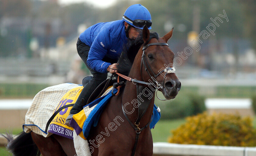 Thunder-Snow-0005 
 THUNDER SNOW exercising ahead of The Breeders' Cup Classic
Churchill Downs USA 30 Oct 2018 - Pic Steven Cargill / Racingfotos.com