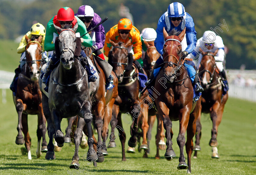 Take-Heart-0003 
 TAKE HEART (left, Ben Coen) beats ENFJAAR (right) in The Coral Chesterfield Cup
Goodwood 30 Jul 2024 - Pic Steven Cargill / racingfotos.com