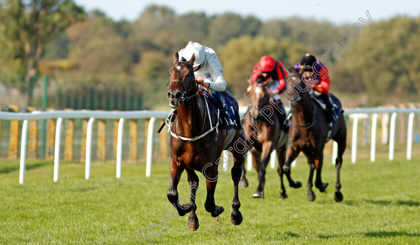 Forest-Falcon-0003 
 FOREST FALCON (William Buick) wins The British Stallion Studs EBF Novice Stakes
Yarmouth 17 Sep 2020 - Pic Steven Cargill / Racingfotos.com