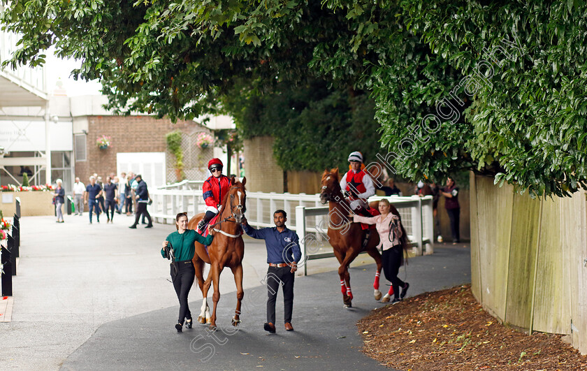 Libra-Tiger-0005 
 LIBRA TIGER (Hollie Doyle) winner of The Racing TV Handicap
Sandown 27 Jul 2023 - Pic Steven Cargill / Racingfotos.com