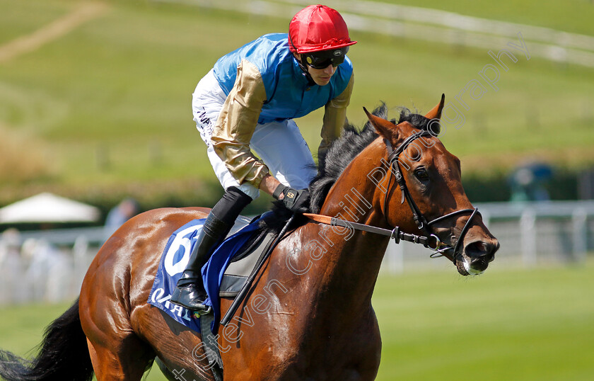 Real-Gain-0002 
 REAL GAIN (James Doyle)
Goodwood 30 Jul 2024 - Pic Steven Cargill / Racingfotos.com