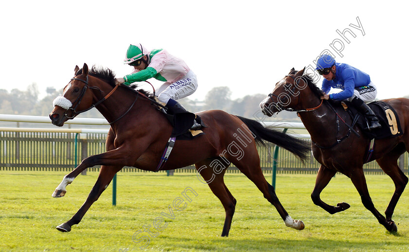 Bell-Rock-0004 
 BELL ROCK (Oisin Murphy) wins The Willow Novice Stakes
Newmarket 24 Oct 2018 - Pic Steven Cargill / Racingfotos.com