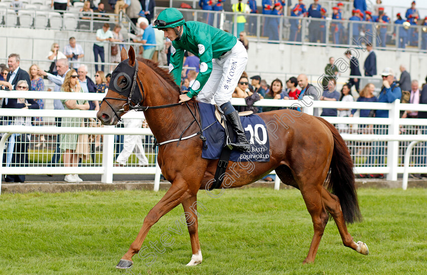 Ladies-Church-0001 
 LADIES CHURCH (Ben Coen)
The Curragh 10 Sep 2023 - Pic Steven Cargill / Racingfotos.com