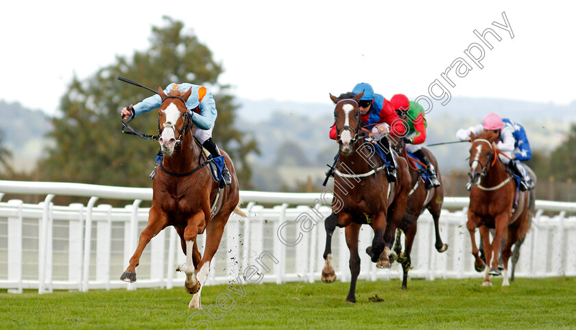 The-Rosstafarian-0003 
 THE ROSSTAFARIAN (James Doyle) wins The PKF Francis Clark British EBF Novice Stakes Div2
Salisbury 1 Oct 2020 - Pic Steven Cargill / Racingfotos.com