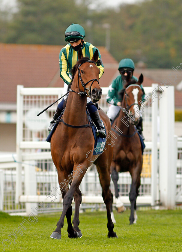 Festive-Star-0001 
 FESTIVE STAR (Silvestre De Sousa)
Yarmouth 16 Sep 2020 - Pic Steven Cargill / Racingfotos.com